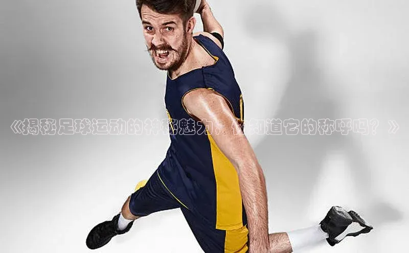 摩登7会员登录入口百度集团《揭秘足球运动的神秘魅力，你知道它的称呼吗？》