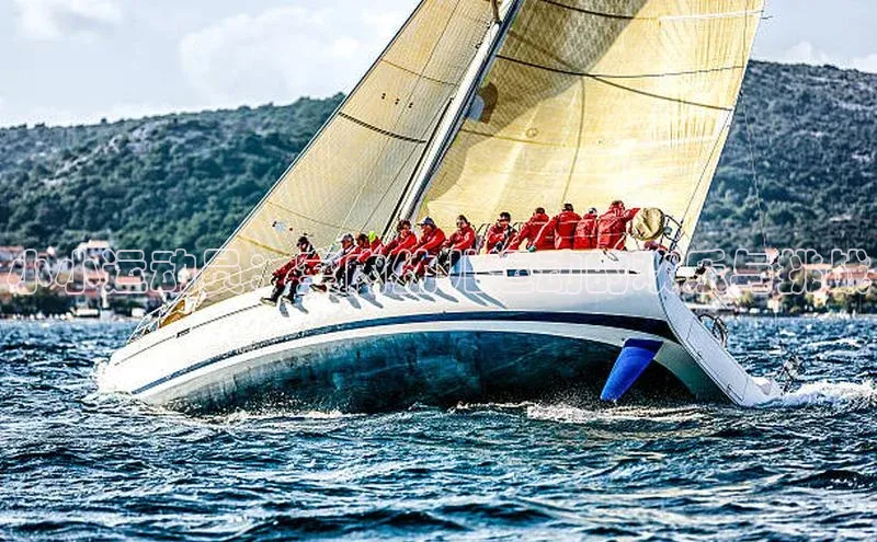 小小运动员：室内幼儿运动的欢乐与挑战