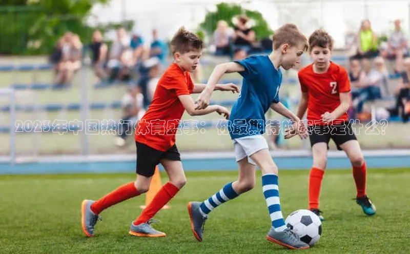 2023年中国热门体育盛事：你最期待的赛事是什么？