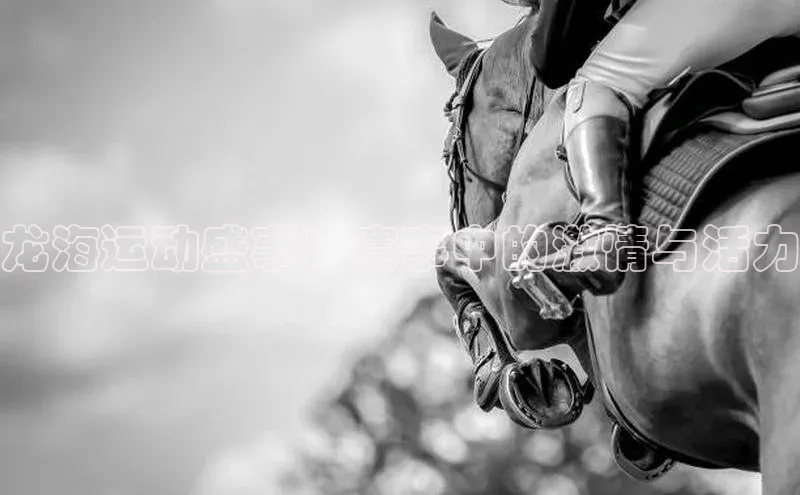 龙海运动盛事：赛事中的激情与活力