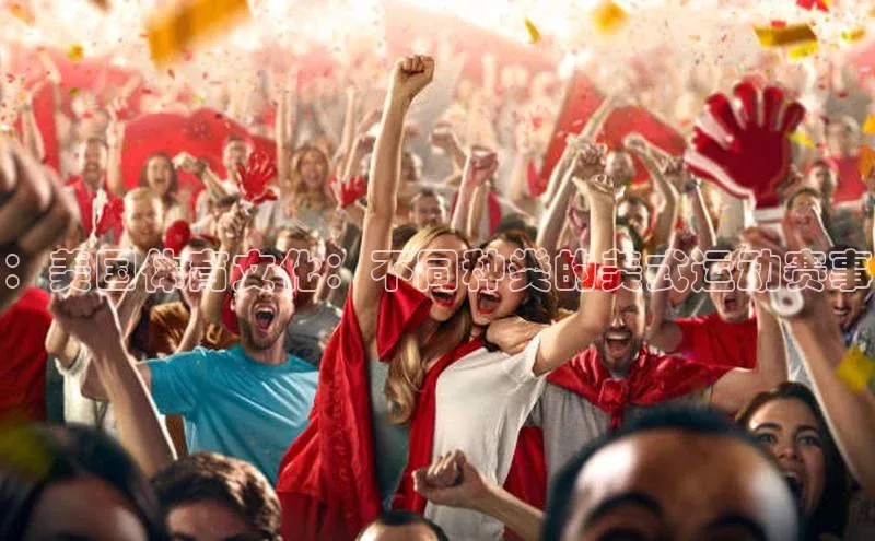 ：美国体育文化：不同种类的美式运动赛事