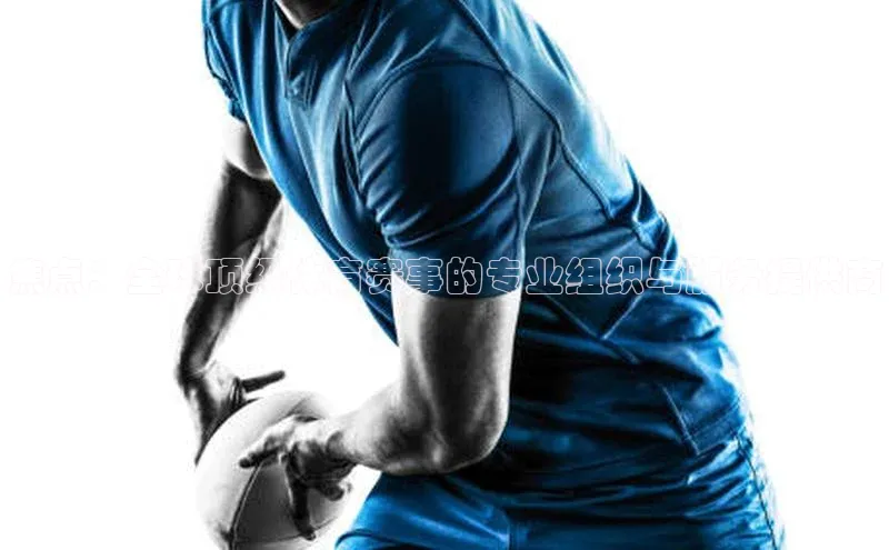 焦点：全球顶级体育赛事的专业组织与服务提供商