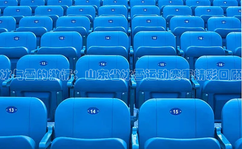 冰与雪的激情：山东省冰雪运动赛事精彩回顾