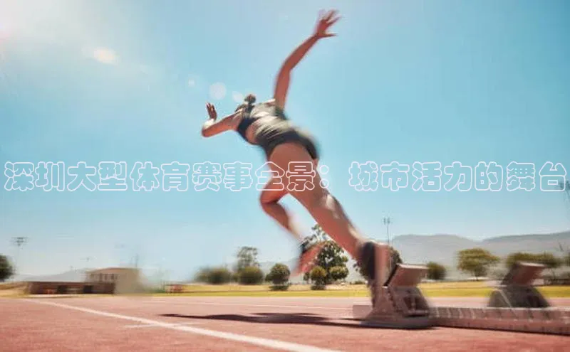 深圳大型体育赛事全景：城市活力的舞台